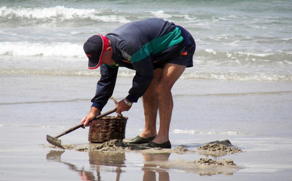 Marée du siècle : curieux et pêcheurs à pied invités à observer la plus grande prudence