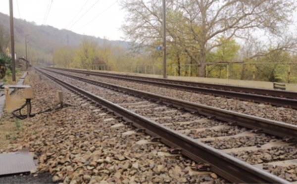 Yvelines : un chevreuil percuté par un train, 30 minutes de retard sur la ligne Chartres - Paris