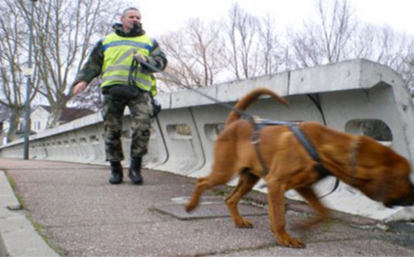 Mantes-la-Jolie : l'écolier fugueur retrouvé sain et sauf par le chien pisteur de la gendarmerie