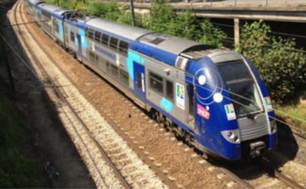 Un voyageur interpellé à Mantes-la-Jolie après l'agression d'un contrôleur dans le train