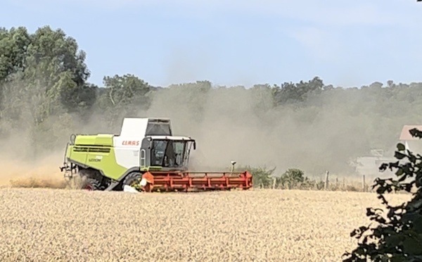 Seine-Maritime : feu de moissonneuse-batteuse à Croixdalle, 7,5 hectares de blé détruits 