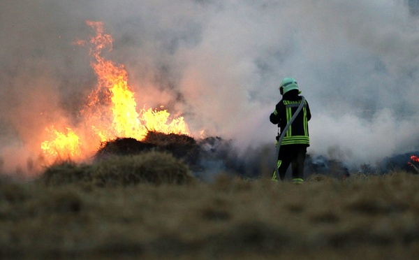 Seine-Maritime : un violent feu de chaumes mobilise 35 sapeurs-pompiers à Freneuse