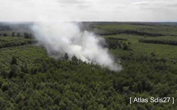 Eure : 2 hectares de sous-bois détruit par un incendie dans la forêt de Bord