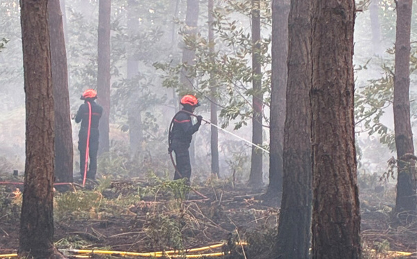 Eure : 2 hectares de sous-bois détruit par un incendie dans la forêt de Bord