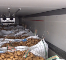 La douane saisit plus d'une tonne de résine de cannabis dans un chargement de pommes de terre