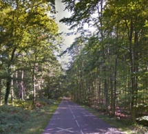 Seine-Maritime : un homme découvert mort en forêt de Canteleu, le médecin légiste conclut à un suicide