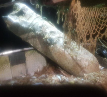 Une bombe allemande dans les filets d’un bateau de pêche au large d’Ouistreham 
