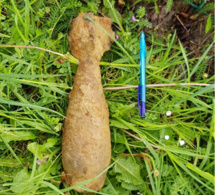 Yvelines : un obus découvert sur un chantier à Versailles 