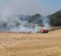 Plusieurs incendies d’espaces naturels en cours cet après-midi dans l’Eure et en Seine-Maritime 