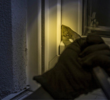 Yvelines : le cambrioleur forçait sa porte fenêtre, elle le met en fuite à Conflans-Sainte-Honorine 