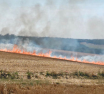 Seine-Maritime : 5 hectares de chaume ravagés par les flammes dans le Pays de Bray