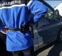 La lutte contre les cambriolages mobilise une quarantaine de gendarmes