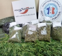Culture de cannabis dans un appartement de Sotteville-lès-Rouen : un suspect interpellé à Darnétal