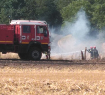 Seine-Maritime : 10 hectares d’orge et de chaume détruits par un incendie à Bosc-Roger-sur-Buchy