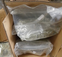 Tunnel sous la Manche : 1,7 tonne de cigarettes de contrebande et 45 kg d’herbe de cannabis dans un chargement de chaussettes