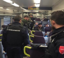 Opération de sécurité dans les trains entre Dieppe et Auffay : un "sans-papiers" placé en rétention