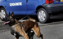 Drogue et argent saisis au domicile des trafiquants présumés, à Pacy-sur-Eure, Gadencourt et Bueil