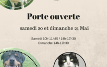 Vous voulez adopter un chat ou un chien ? Portes ouvertes ce week-end au refuge de la SNPA à Rouen 