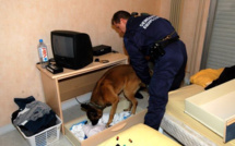 Un trafic de stupéfiants démantelé à Brionne : trois mineurs mis en examen, un majeur jugé et écroué