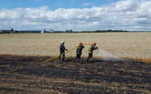 1 hectare de lin détruit par un incendie accidentel dans un champ à Bourville 