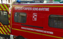 A Fécamp, le véhicule tombe 5 m en contrebas, retenu par un arbre : la conductrice est blessée