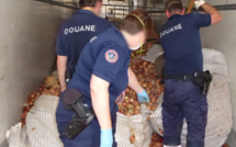 Saisie : 900 kg de drogue dans le chargement d'oignons à bord d'un camion à destination de Rungis