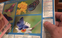 Conflans-Sainte-Honorine : deux faux éboueurs dérobent deux portefeuilles à l'octogénaire 