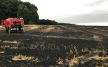 Octeville-sur-Mer : 5000 m2 de récolte de lin détruits par un incendie d'origine indéterminée