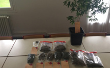 A Aigleville, près de Pacy-sur-Eure, les gendarmes découvrent de la drogue chez le trafiquant présumé