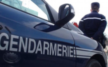 Eure : retrouvée par le chien pisteur des gendarmes cachée dans un champ de maïs après un accident 