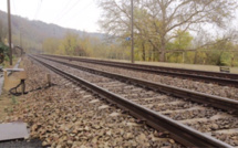 Yvelines : une octogénaire tuée par un train à Gazeran 