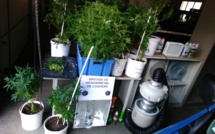 Roué de coups pour une dette de drogue : trois interpellations dans l'Eure