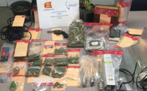 Eure : des stupéfiants et une arme découverts au domicile d'un producteur de cannabis