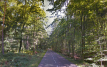 Seine-Maritime : un homme découvert mort en forêt de Canteleu, le médecin légiste conclut à un suicide