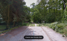 Yvelines : un promeneur agressé par cinq individus dans un bois de Bougival, les auteurs sont arrêtés 