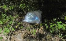Eure : il se débarrasse d'un sac d’immondices dans un bois, le « pollueur » encourt jusqu'à 750€ d'amende