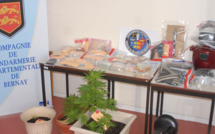 Un trafic de drogue très actif anéanti par les gendarmes de Bernay : 14 suspects interpellés dans l’Eure 