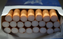 10 tonnes de cigarettes et 348 kg de cocaïne saisis par la douane sur le port du Havre