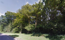 Le Havre : un homme de 36 ans retrouvé pendu en forêt de Montgeon