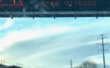 Yvelines : deux arbres n’ont pas résisté aux rafales de vent à Maisons-Laffitte et Conflans 