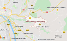 Une femme mordue au visage en caressant le chien de son voisin, près de Rouen 