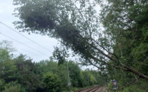 Trains supprimés et en retard entre Paris - Caen - Cherbourg : un train a heurté un arbre près d’Évreux 
