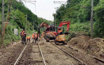 Éboulement de terrain sur les voies : les trains ne passent plus entre Lisieux et Caen 