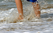 Seine-Maritime : une fillette échappe à la noyade sur la base de loisirs de Jumièges,