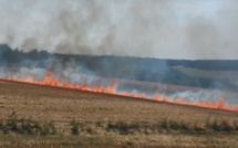 Nouveaux incendies de culture dans l'Eure : 17 hectares brûlés cet après-midi