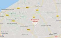 Seine-Maritime : 3000 m2 de chaumes ravagés par le feu dans le pays de Caux cet après-midi 