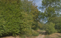 Eure : un homme décède d’un arrêt cardiaque en forêt de Bord-Louviers