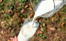 Lubrizol : la restriction sanitaire sur le lait levée ce soir par le préfet de Seine-Maritime 