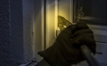Yvelines : le cambrioleur forçait sa porte fenêtre, elle le met en fuite à Conflans-Sainte-Honorine 