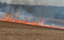 Incendies en Seine-Maritime : 500 m2 de sous-bois et 2 ha de récolte détruits par les flammes